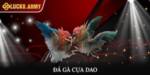 Hình Thức Đá Gà Cựa Dao Cược Ăn Khách, Kiếm Bạc Tỷ