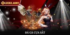 Đá Gà Cựa Sắt - Nơi Theo Dõi Chiến Kê Thi Đấu Mãn Nhãn