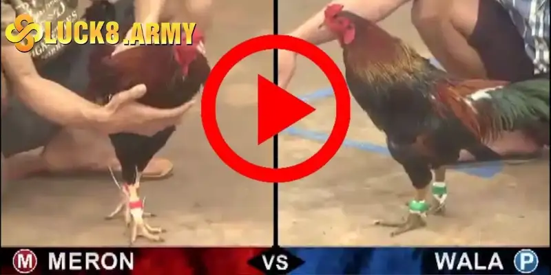 Luật quy định kết quả thắng thua